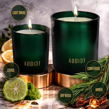ADDICT Analeptik candles in 170g and 360g sizes with citrus and pine – notes of light smoke, citrus, coniferous, dry wood and amber